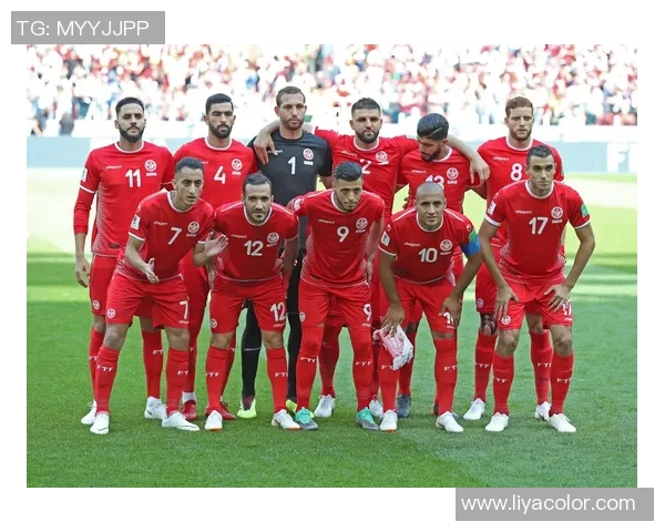 托尼斯足球队历史上最具代表性的球星及其辉煌成就解析